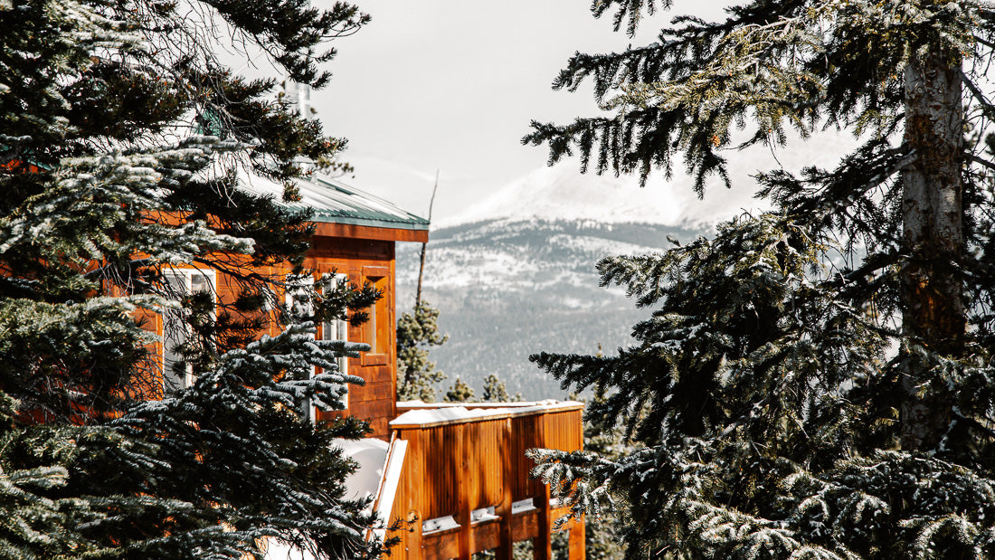 Our Favorite States to Visit in Winter