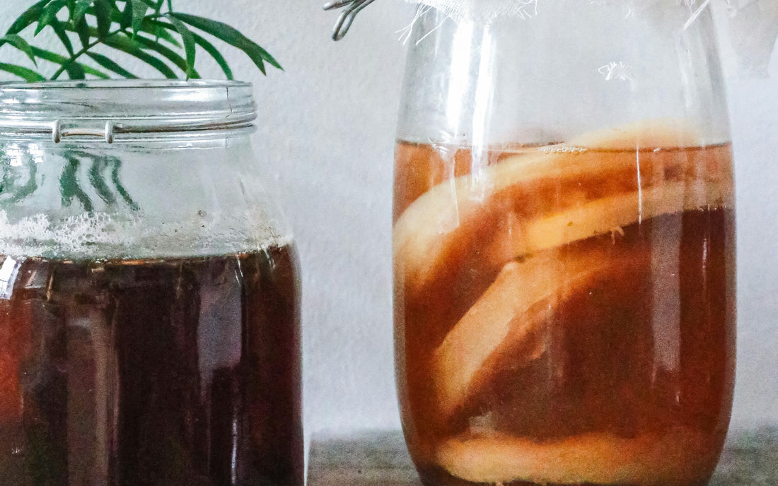 Homemade Kombucha